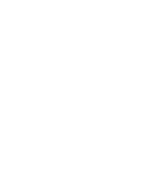 APT logo
